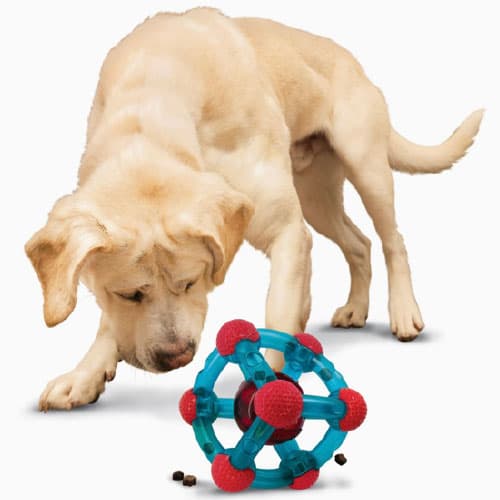 Companies that inventRight has access to — Pet