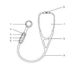 Line Drawings