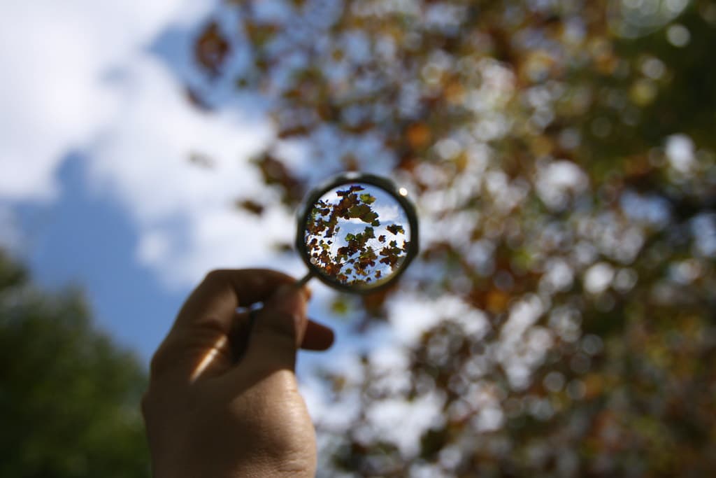 Reinvent And Reimagine Using The MAGNIFY Method