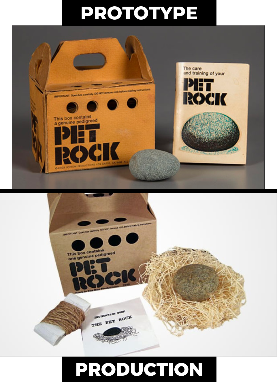 Pet Rock - Prototype to Production