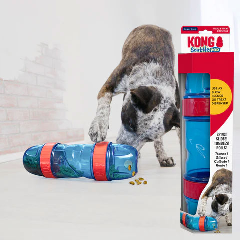 inventRight Member Successes kongpod